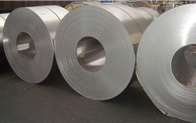 China Dilua laminou 304 316 316L 310 bobinas de aço inoxidável ASTM AISI JIS GB para o grupo de comensal distribuidor 
