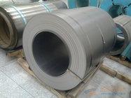China Monel 400 placas de aço de liga do níquel de K500 UNS N04400/bobinas para componentes mecânicos distribuidor 